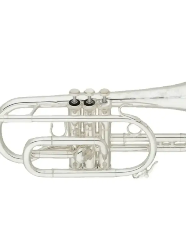 S.E. Shires CN7A Bb Cornet