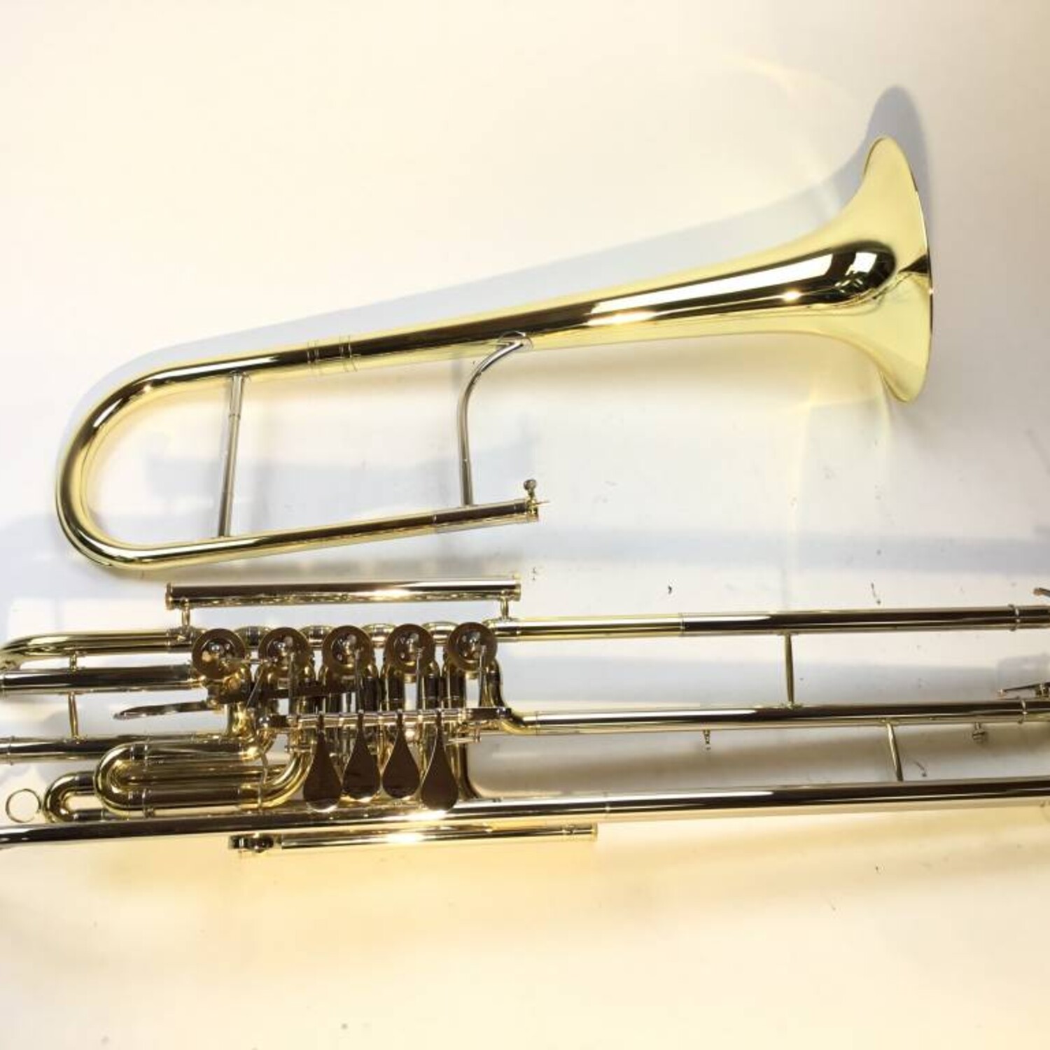 Dillon Cimbasso - Image 4