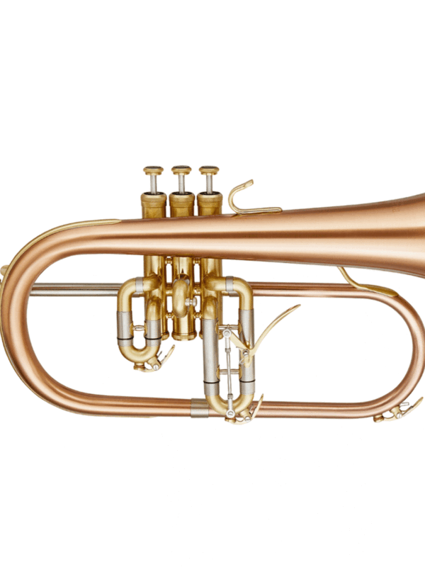 Blessing BFH-1541T Artist Series Flugelhorn